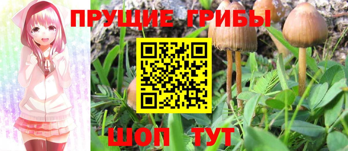 Галлюциногенные грибы Magic Shrooms  Вход с VPN  Осинники 