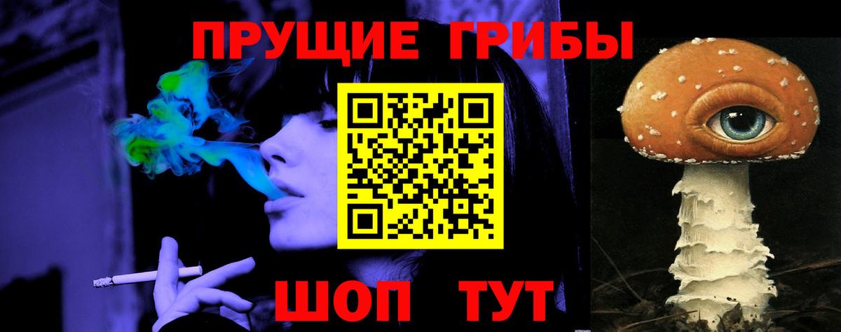 Галлюциногенные грибы Psilocybine cubensis Осинники